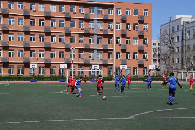 再见！中国体彩竞猜序列剔除布莱顿